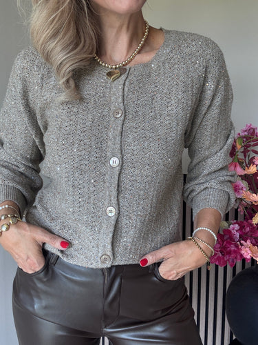 SRB4605 Cardigan Ajour Sparkle